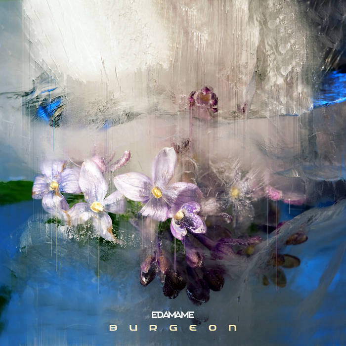 Cover Edamame "Burgeon EP"