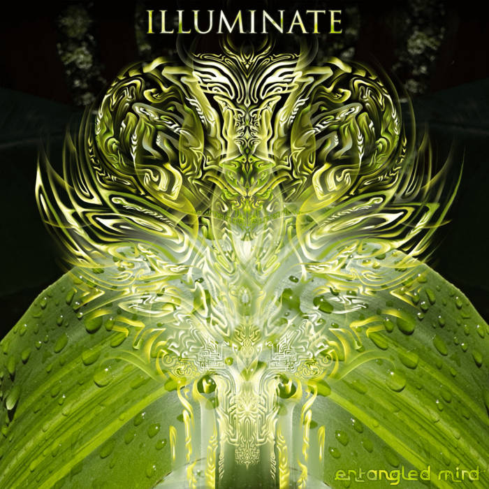 Cover Entangled Mind "Illuminate"